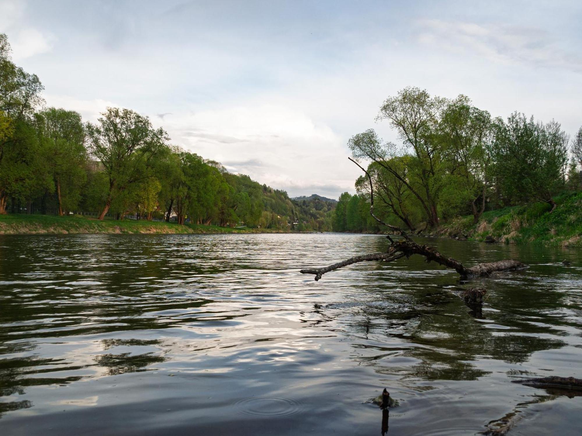 Sloneczne Domki Krościenko Exteriér fotografie